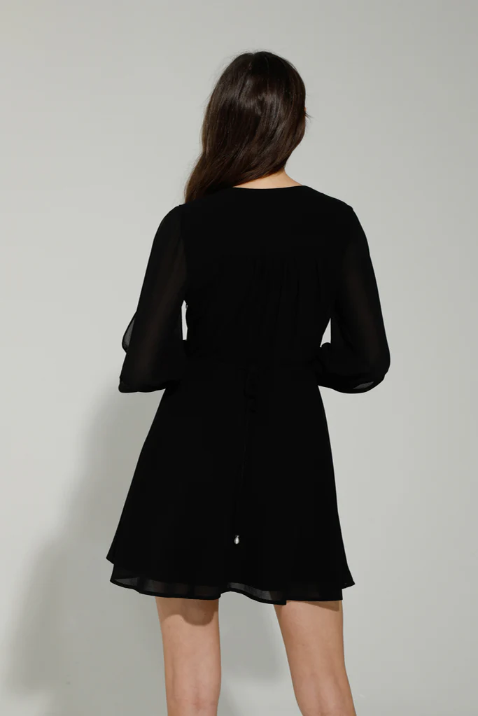 APYN MINI DRESS (BLACK) - Image 4