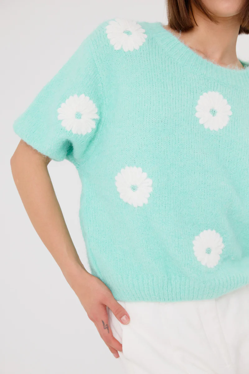 Cyrielle Short Sleeve Jumper (Mint) - Image 3