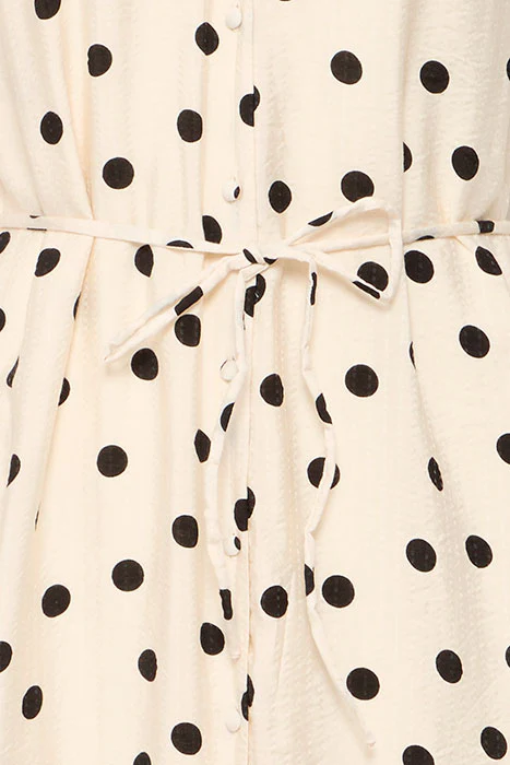 Tabita Short Sleeve Midi Dress (Birch Dot) - Image 5